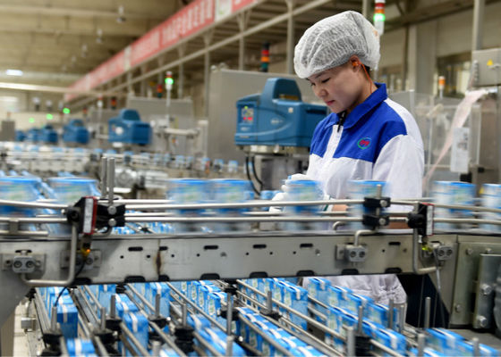 Porcellana Linea produzione di attrezzature/macchina di produzione lattiera dei batteri lattici del yogurt fornitore