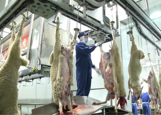 Porcellana Linea spaccata di produzione di carne dell'agnello, linea trasformazione ulteriore di produzione industriale fornitore