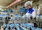 Linea produzione di attrezzature/macchina di produzione lattiera dei batteri lattici del yogurt fornitore