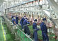 Linea spaccata di produzione di carne dell'agnello, linea trasformazione ulteriore di produzione industriale fornitore
